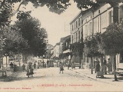Photo des promenades du Plateau