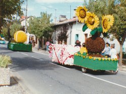 Photo de la fête des chars de 1993