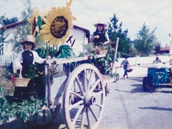 Photo de la fête des chars de Molières