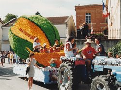 Fête des chars de Molières