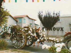 Photo de la fête des chars