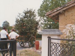 Photo de la fête des chars de 1990