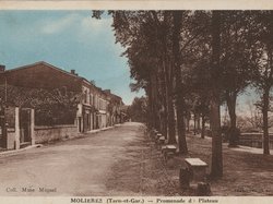 Carte postale de la Promenades du Plateau