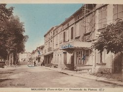 Carte postale ancienne de la ville de Molières 82