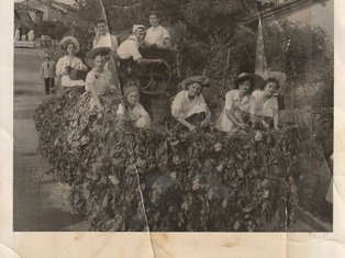 photo de la fête des chars de Molières 