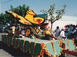 Fête des chars de Molières