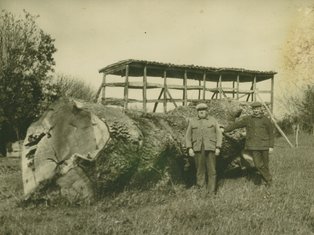 Photo d'une ferme