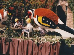 Fête des chars de Molières