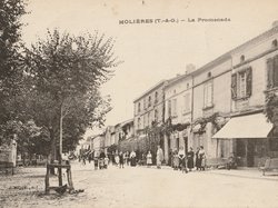 Carte postale ancienne de la ville de Molières 82