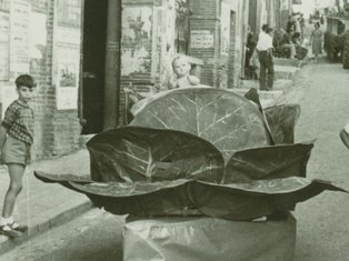 Photo de fête de Molières 