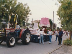 Photo de la fête des chars de Molières