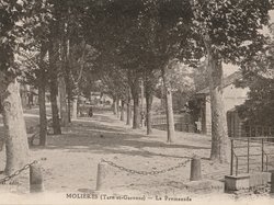 Photo des promenades du Plateau