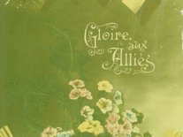 Photo carte postale de fleurs guerre 14-18