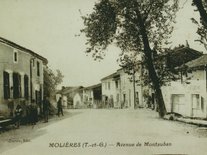 Photo de commerce dans l'avenue de Montauban