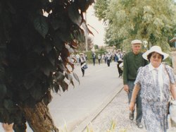 Photo de la fête des chars de Molières